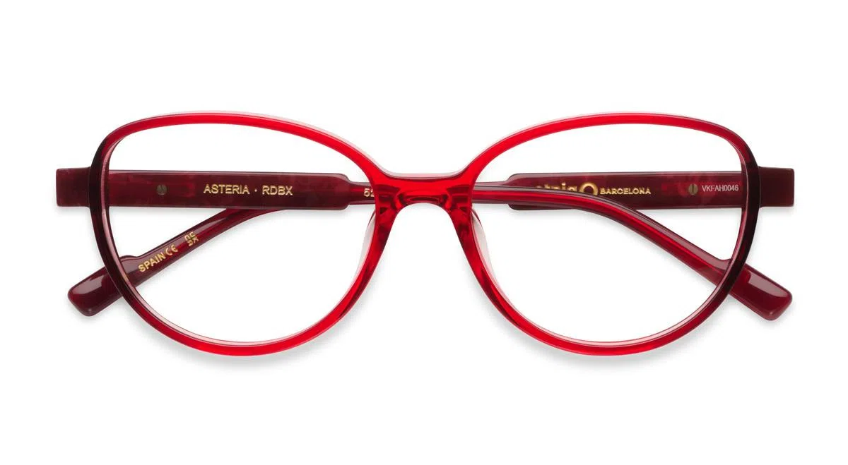 Etnia Barcelona ASTERIA Eyeglasses - view 24